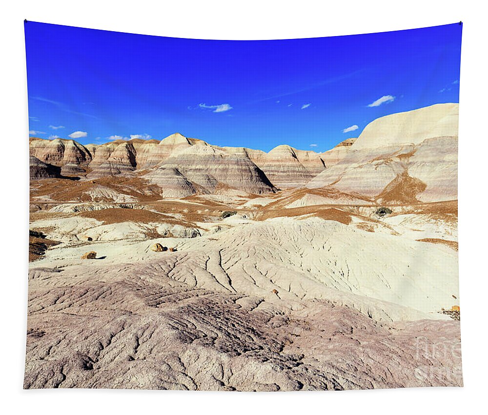 Arizona Tapestry featuring the photograph Arizona Petrified Forest #7 by Raul Rodriguez