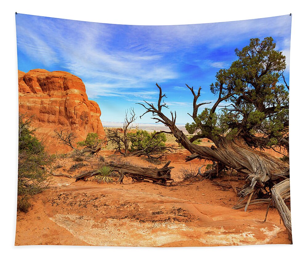 Arches National Park Tapestry featuring the photograph Arches National Park #8 by Raul Rodriguez