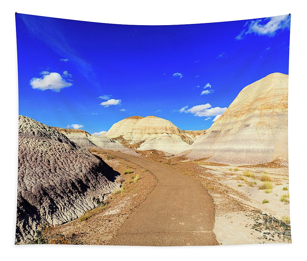 Arizona Tapestry featuring the photograph Arizona Petrified Forest #8 by Raul Rodriguez