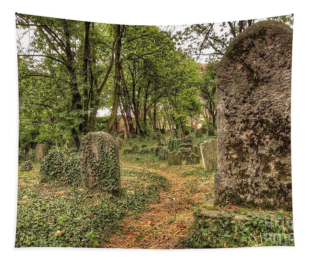 Czech Tapestry featuring the photograph Old Jewish Cemetery #8 by Michal Boubin