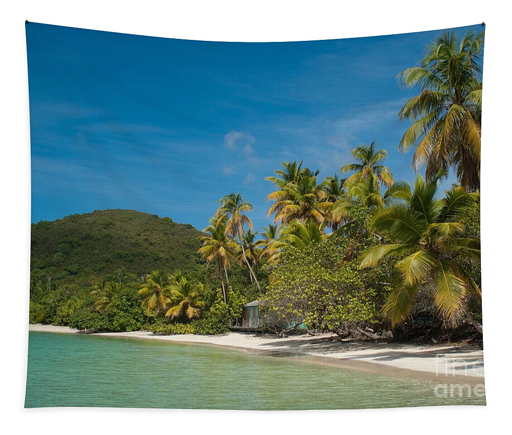 Virgin Islands Tapestry featuring the photograph Cinnamon Bay beach on Saint John - United States Virgin Island #9 by Anthony Totah