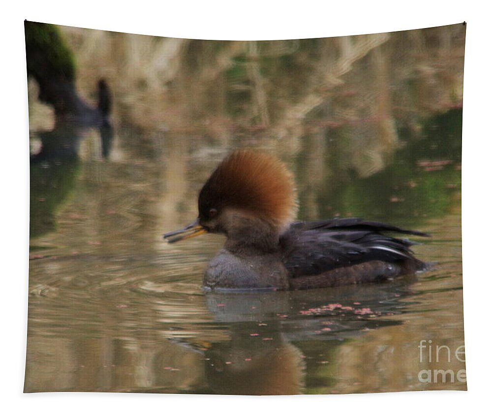  Duck Tapestry featuring the photograph A beautiful duckie by Jeff Swan