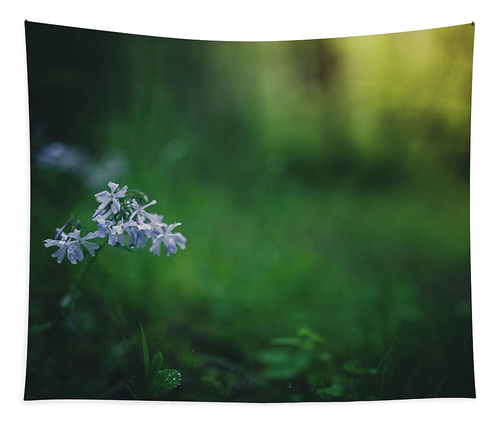 Forest Tapestry featuring the photograph A Bit Of Forest Magic by Shane Holsclaw