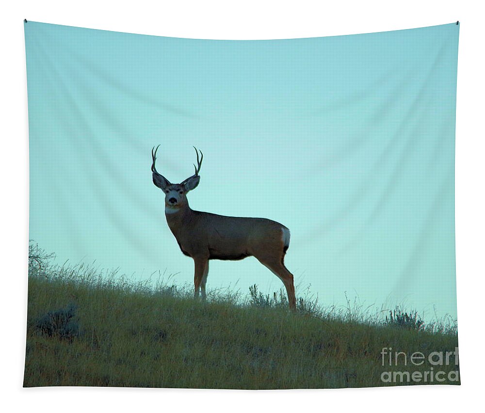Deer Tapestry featuring the photograph A buck gazes back by Jeff Swan