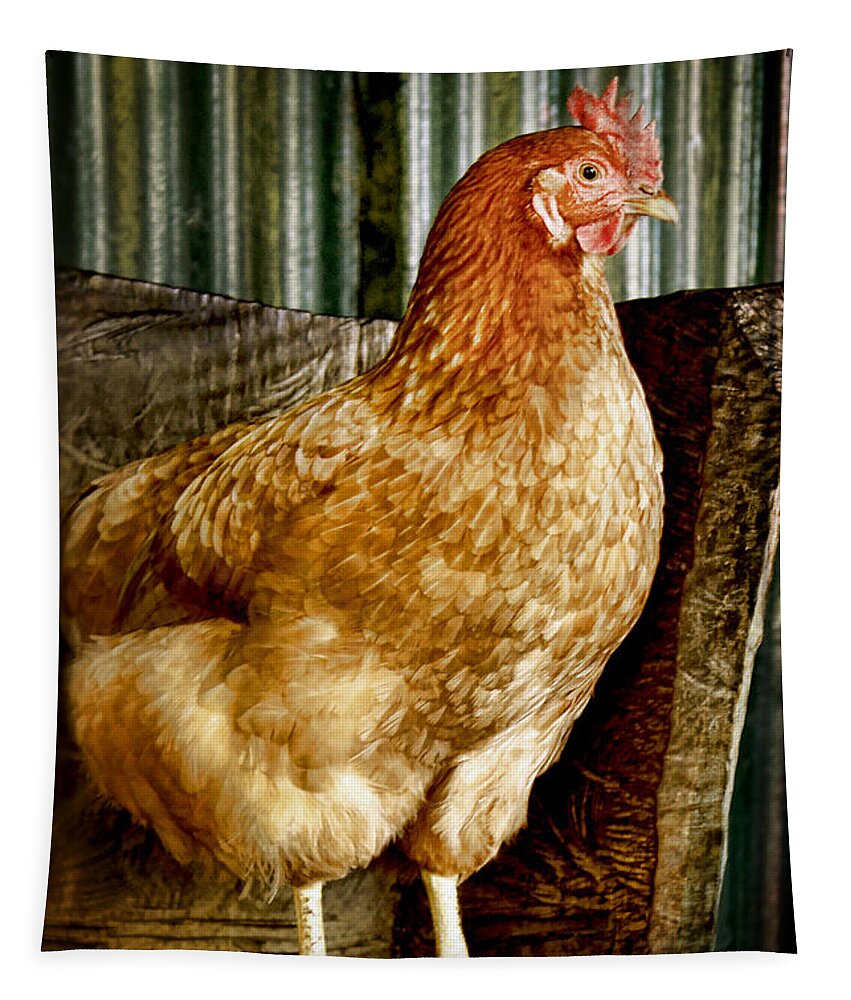 Animals Tapestry featuring the photograph A Chicken named Rembrandt by Holly Kempe
