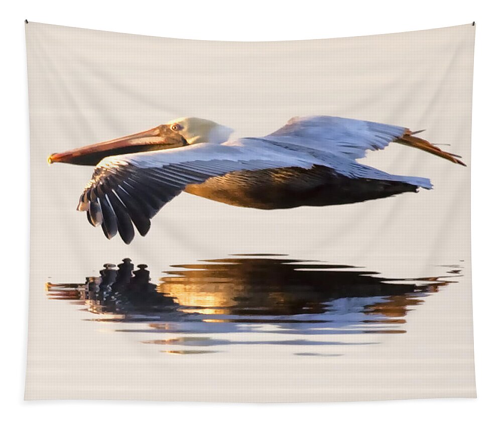 Pelican Flight Flying Reflection Brown Pelican Tapestry featuring the photograph A Closer Look I by Janet Fikar