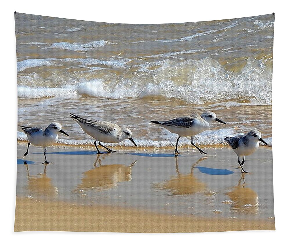 Sandpiper Tapestry featuring the photograph A Cute Quartet of Sandpipers by Carla Parris