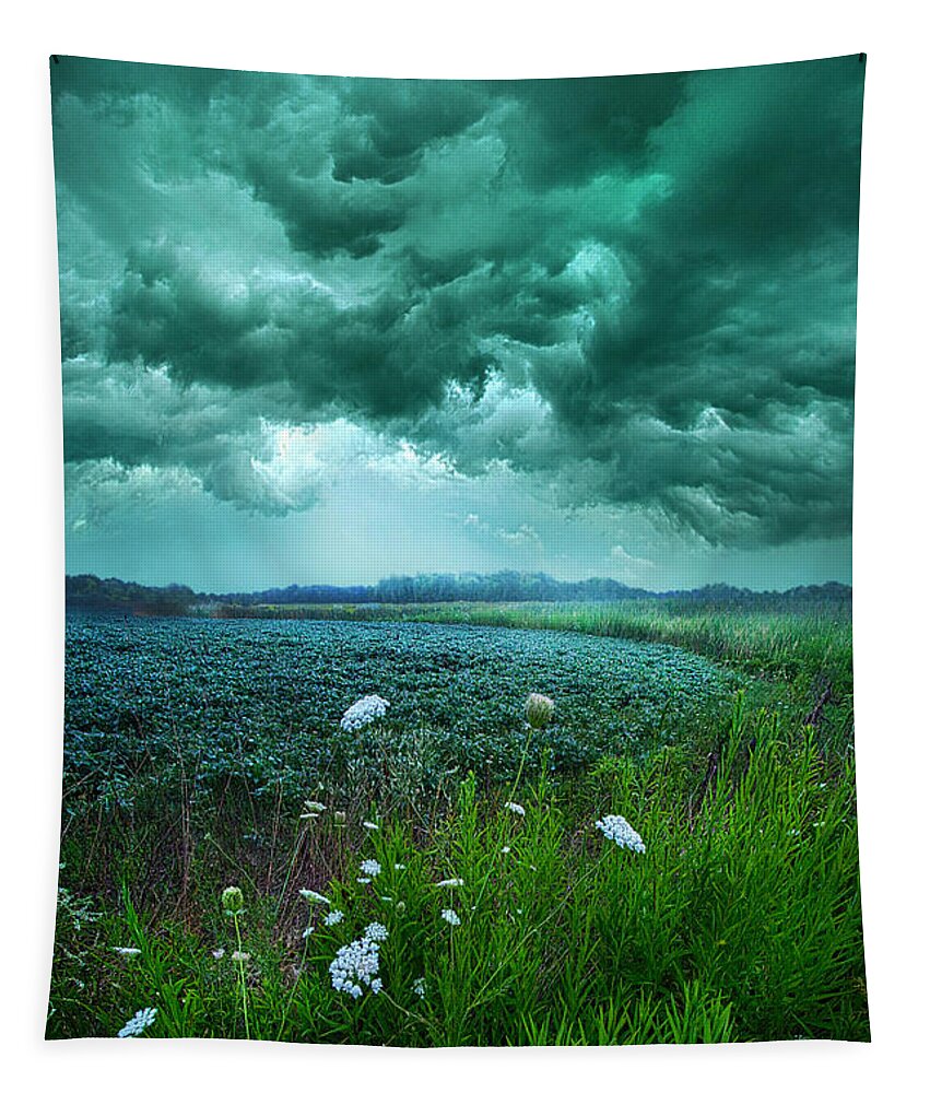 Storm Tapestry featuring the photograph A Dark Day by Phil Koch
