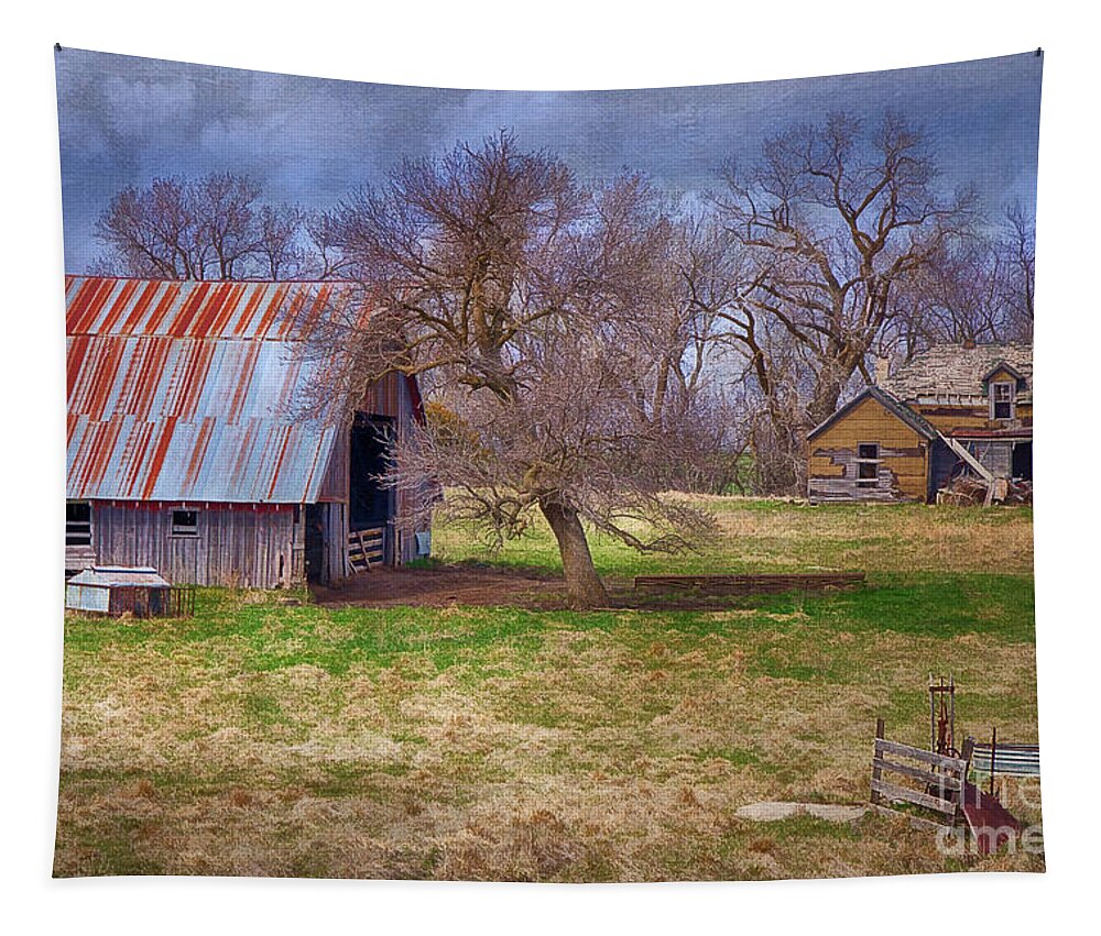 A Deserted Nebraska Farm Tapestry featuring the photograph A Deserted Nebraska Farm by Priscilla Burgers