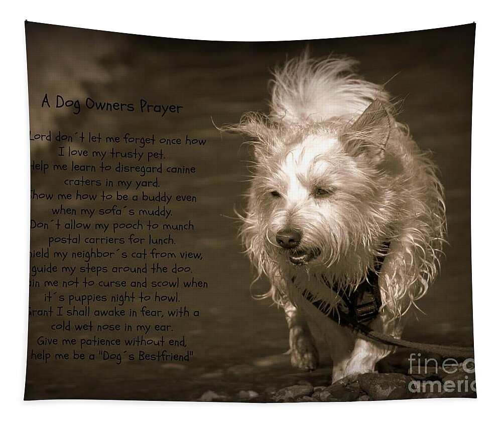 Dog Tapestry featuring the photograph A Dog Owners Prayer by Clare Bevan