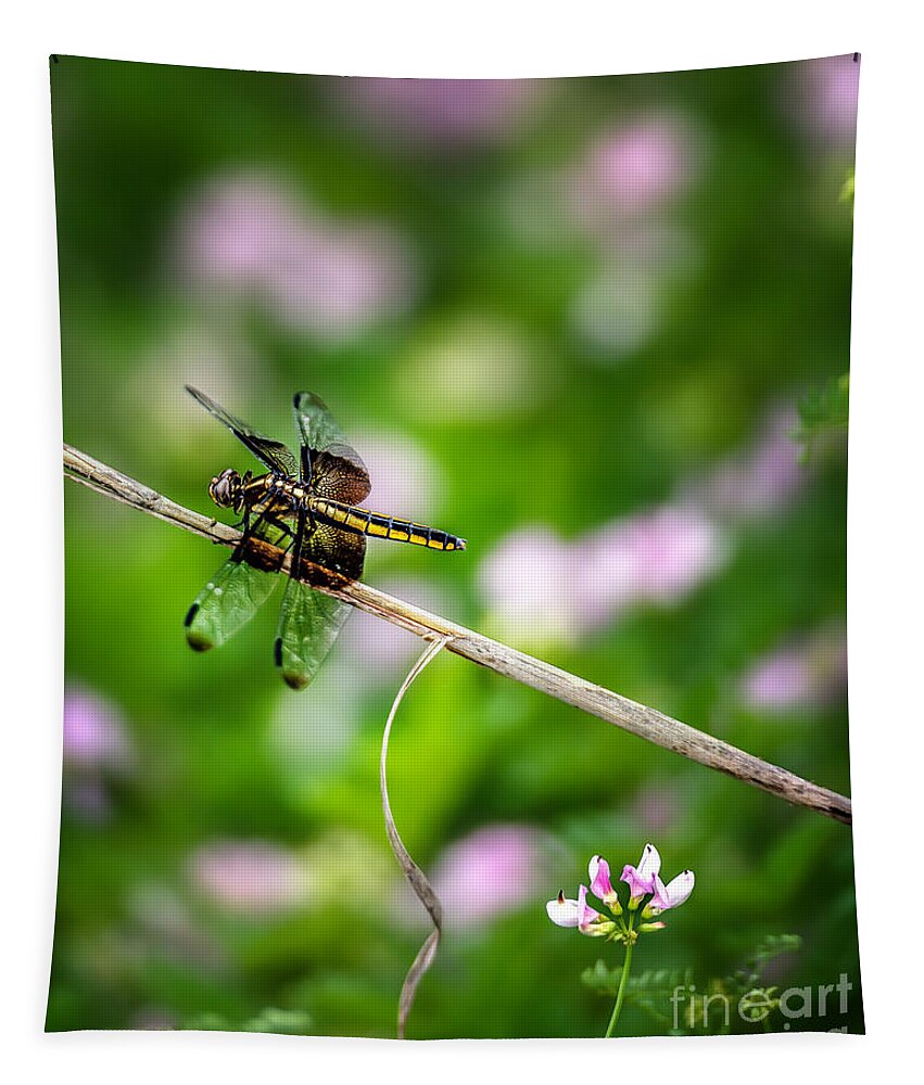 Dragonfly Tapestry featuring the photograph A Dragonfly Break by Tamyra Ayles