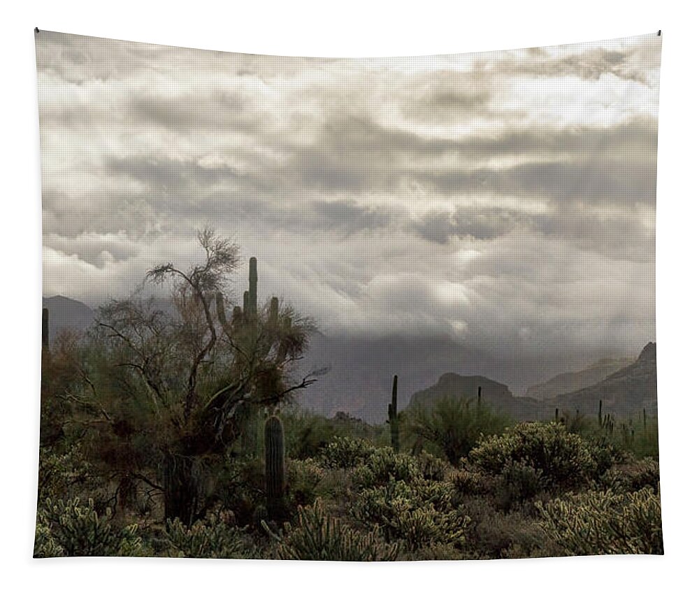 Fog Tapestry featuring the photograph A Foggy Desert Morning by Saija Lehtonen