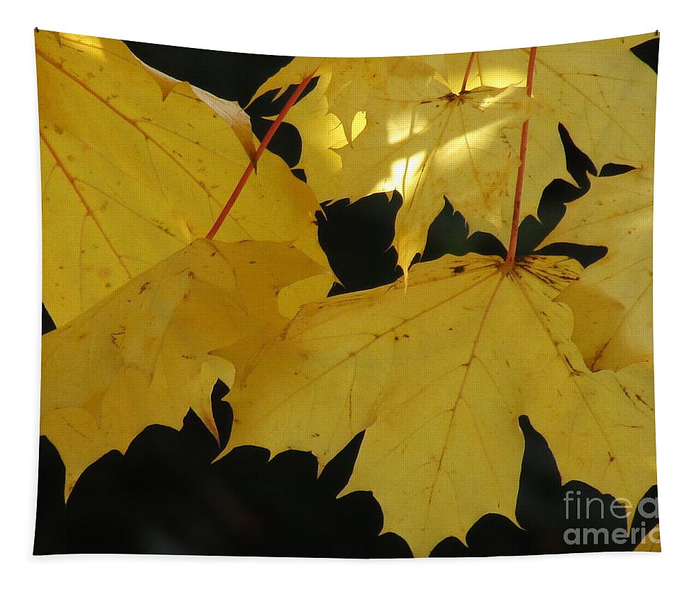 Maple Leaves Tapestry featuring the photograph A Glimpse Of Light by Kim Tran