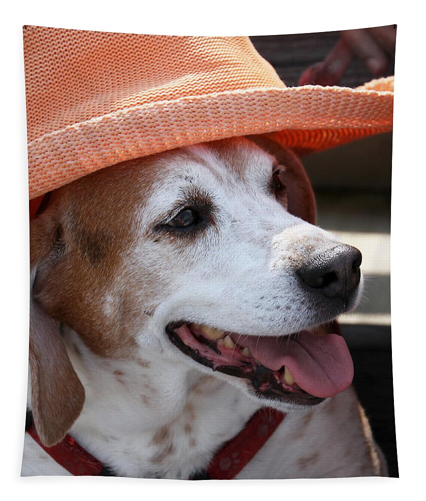Beagle Tapestry featuring the photograph A Hat for Buddy by Bob Slitzan