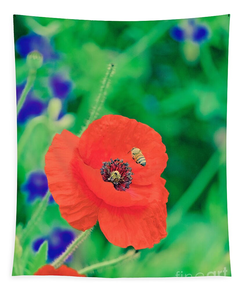 Poppy Tapestry featuring the photograph A Honeybee and a Poppy by Rachel Morrison