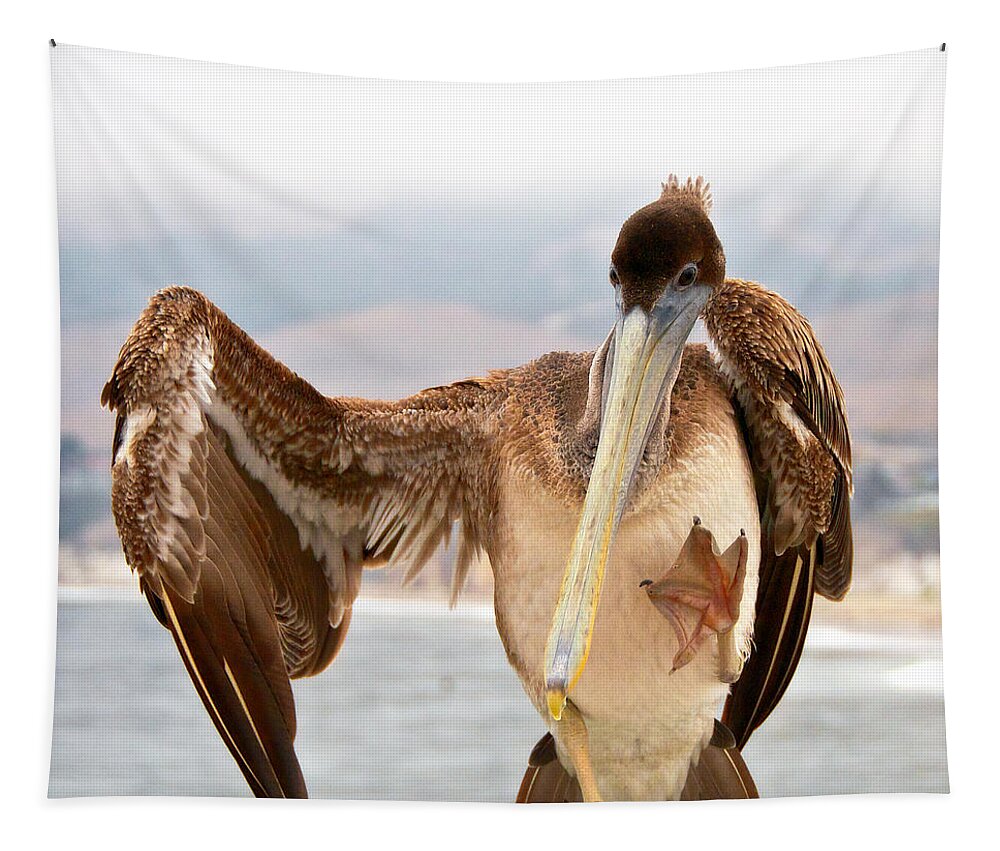 Nature Tapestry featuring the photograph A Leg Up, Brown Pelican by Zayne Diamond