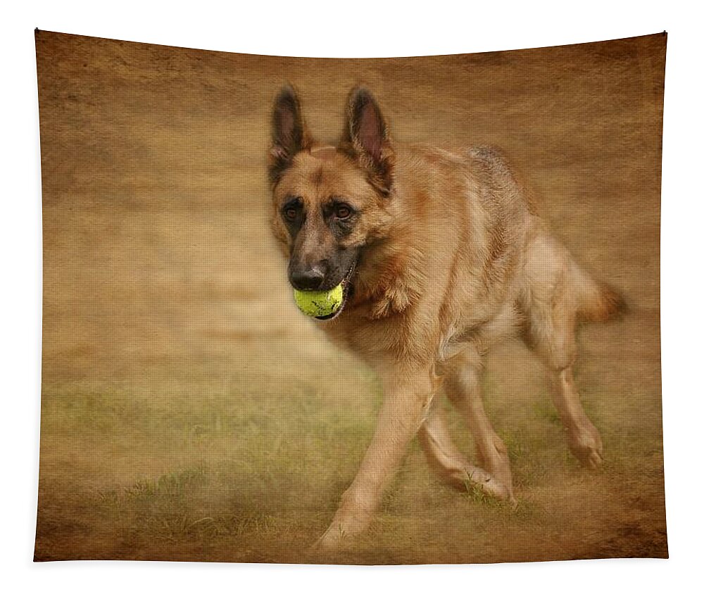 German Shepherd Dogs Tapestry featuring the photograph A Little Playtime - German Shepherd Dog by Angie Tirado