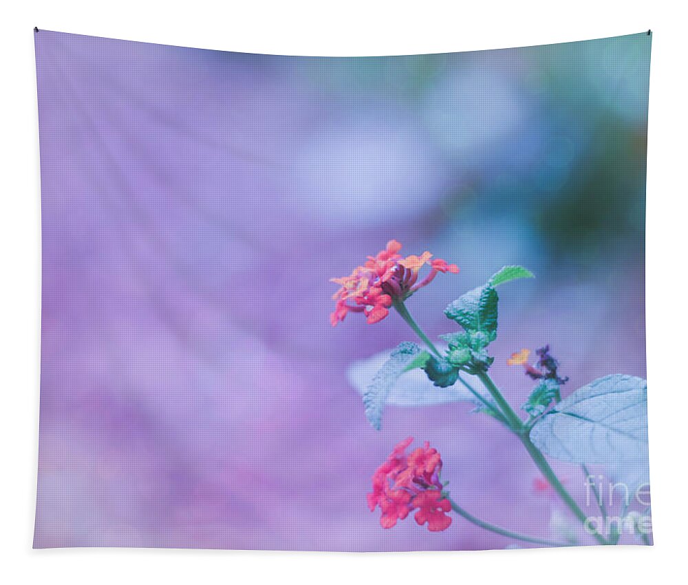 Adrian-deleon Tapestry featuring the photograph A little softness, A little color - Macro Flowers by Adrian De Leon Art and Photography