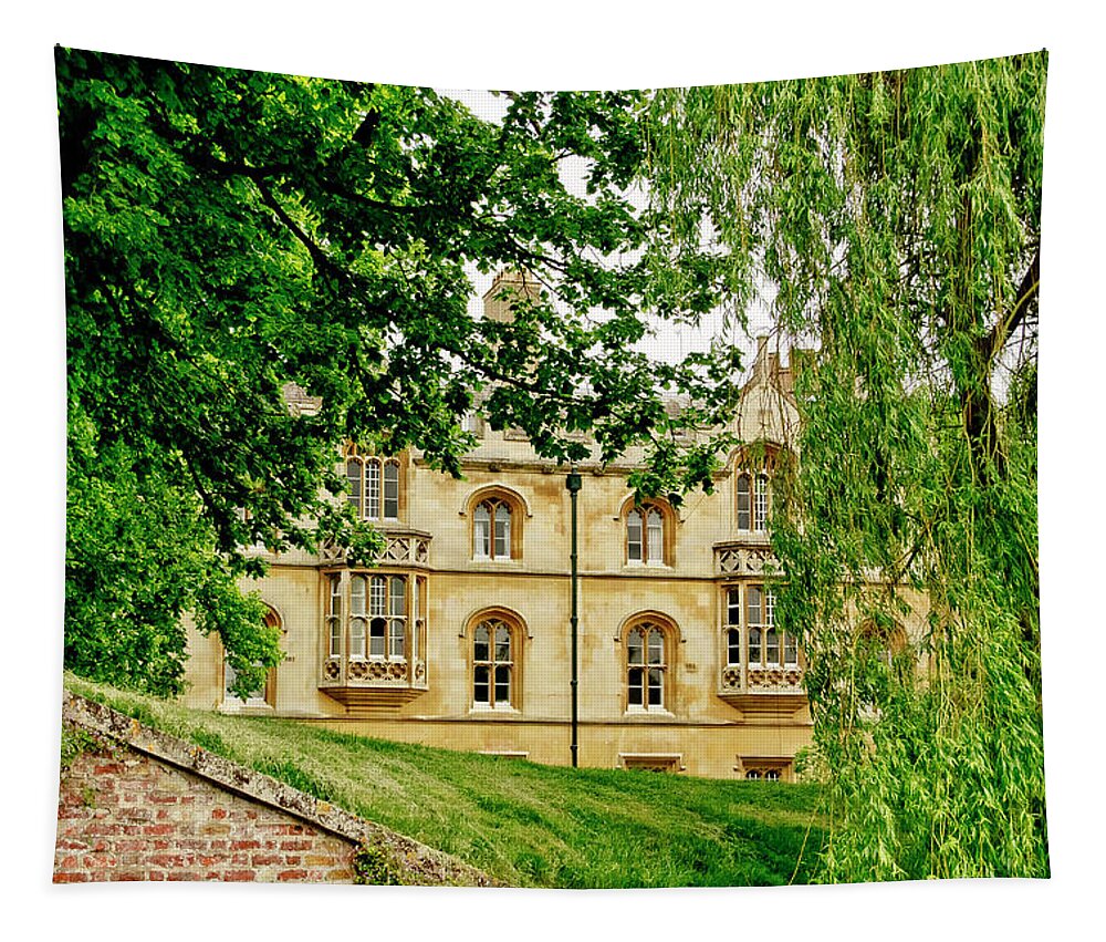 Cambridge Tapestry featuring the photograph A loving glimpse backward. by Elena Perelman
