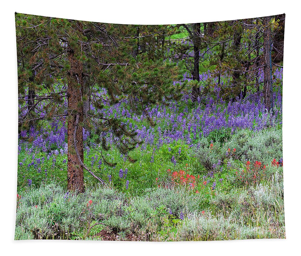Lupine Tapestry featuring the photograph A Lupine Carpet by Jim Garrison