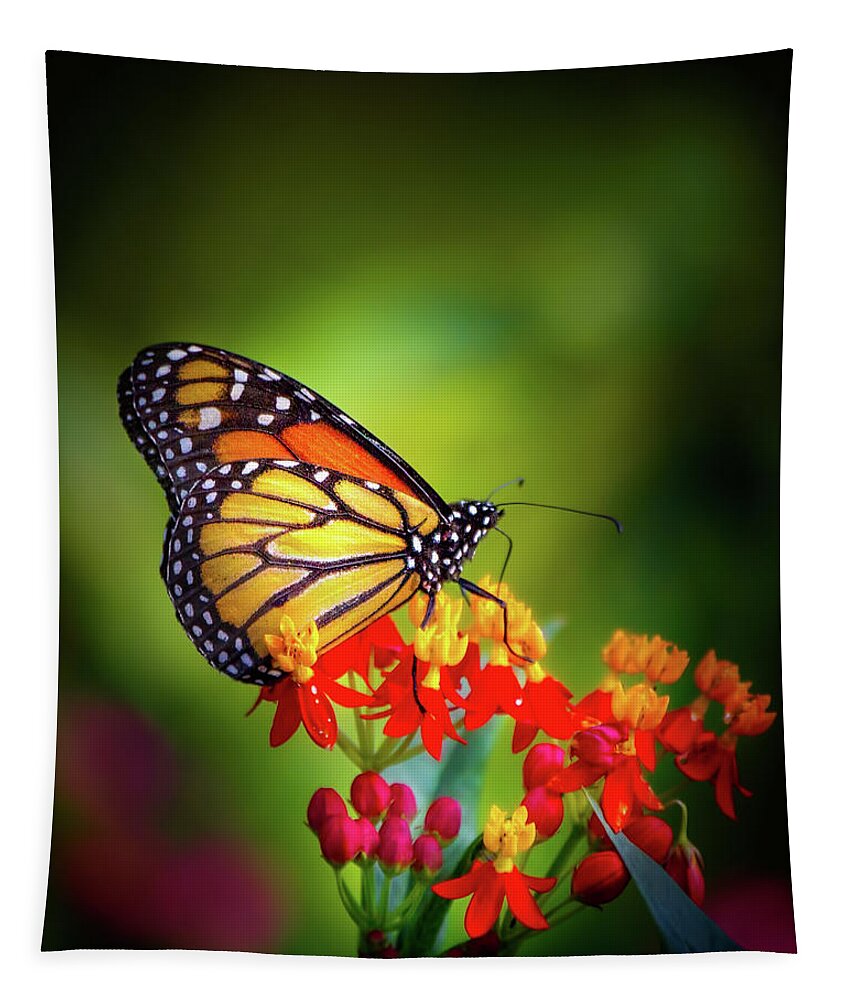 Butterfly Tapestry featuring the photograph A Monarch in the Garden by Mark Andrew Thomas