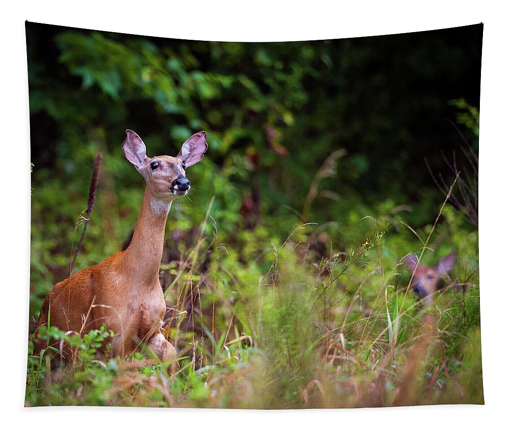 Nature Tapestry featuring the photograph A Mother's Vigilance by Jeff Phillippi