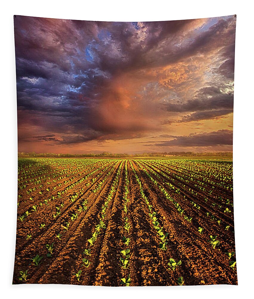 Spring Tapestry featuring the photograph A New Season by Phil Koch