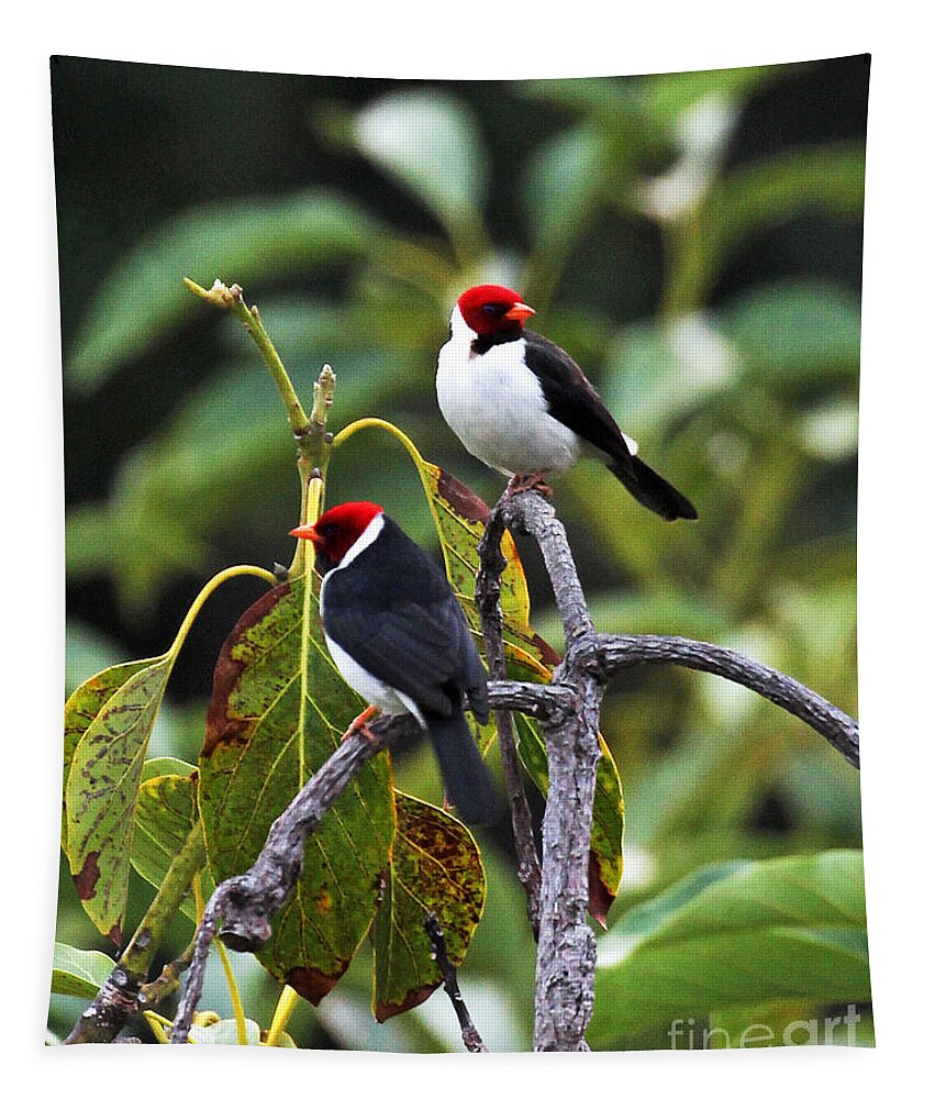 A Pair Of Redheads Tapestry featuring the photograph A Pair of Redheads by Jennifer Robin