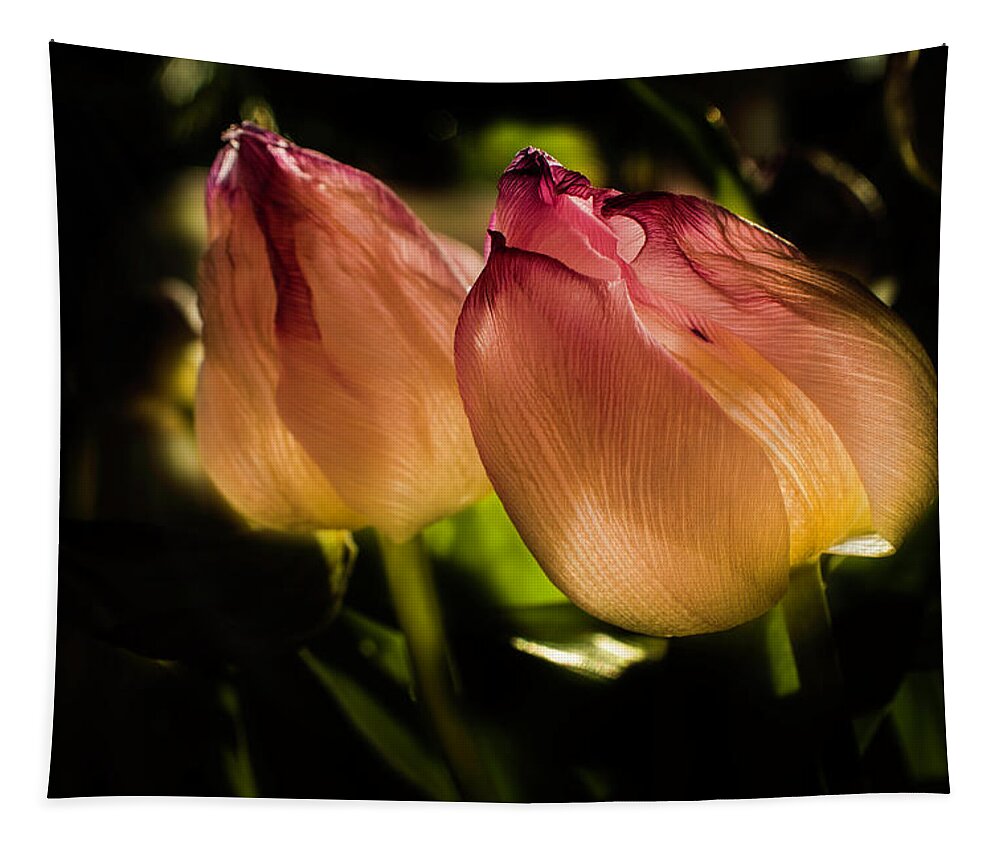 Wostphoto Tapestry featuring the photograph A pair of Tulips by Wolfgang Stocker