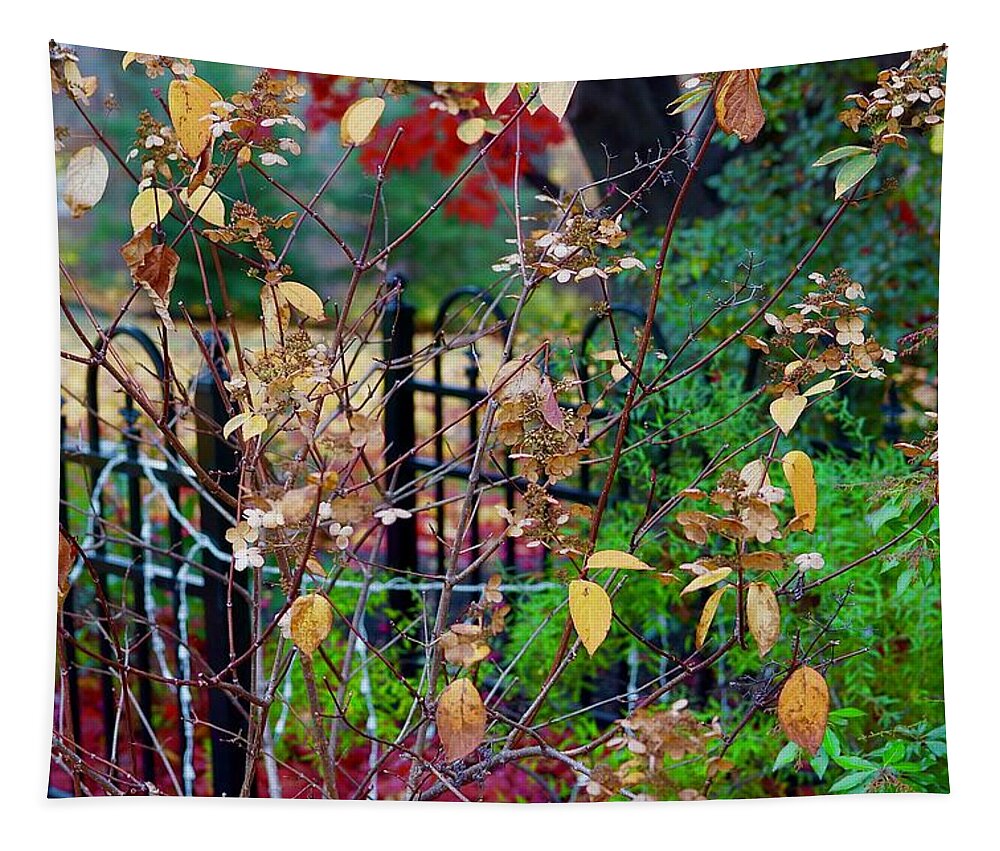 Gardens Tapestry featuring the photograph A Paradise Garden by Ira Shander