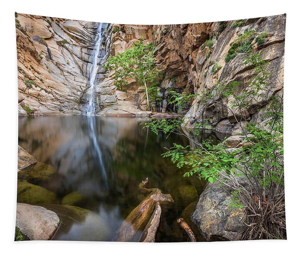 Cedar Creek Falls Tapestry featuring the photograph A Piece of Eden by Alexander Kunz