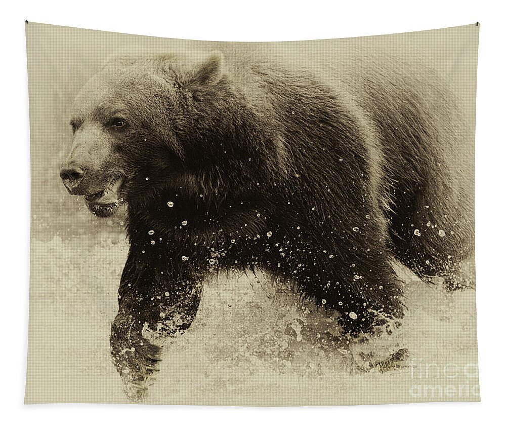 Grizzly. Bear Tapestry featuring the photograph A Quick Charge by Art Cole