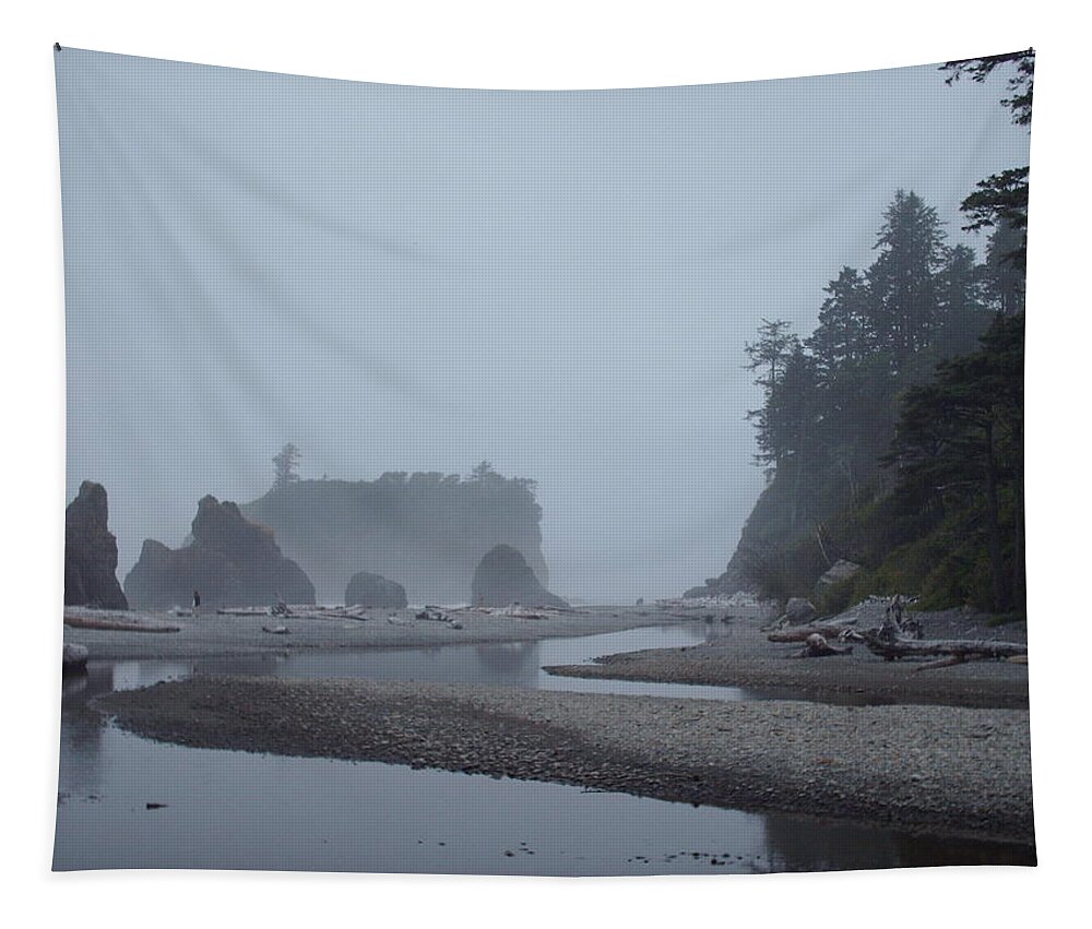 Landscape Tapestry featuring the photograph A Quiet Mist by Julie Lueders 