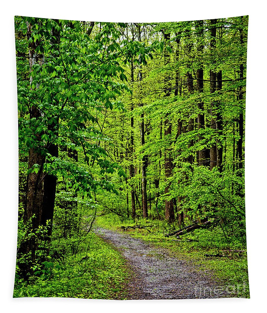 Paths Tapestry featuring the photograph A Quiet Walkway Without Destination by Kathy McClure