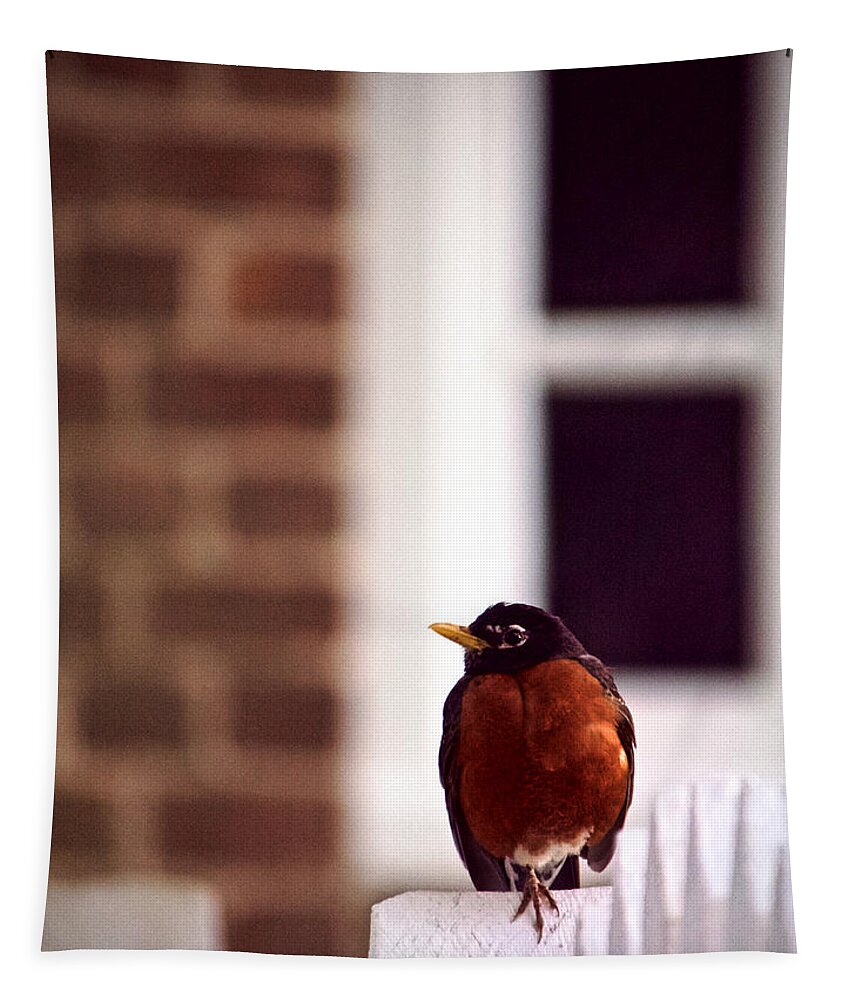 Robin Tapestry featuring the photograph A Red Bird by Rachel Morrison