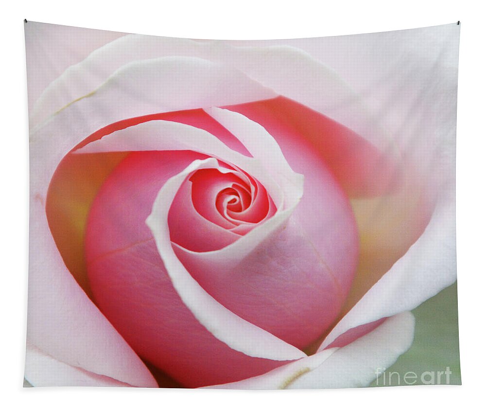 Flowers Tapestry featuring the photograph A Rose by any other name by Cindy Manero