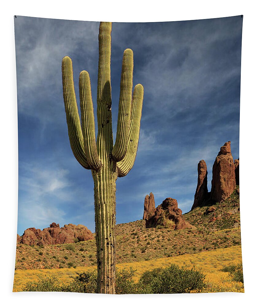 Saguaro Tapestry featuring the photograph A Saguaro In Spring by James Eddy