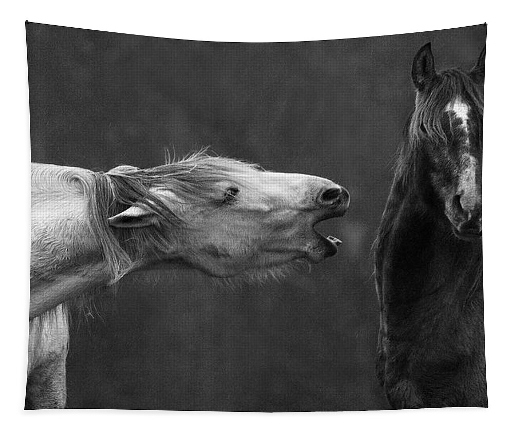 Horses Tapestry featuring the photograph A Scolding by Art Cole