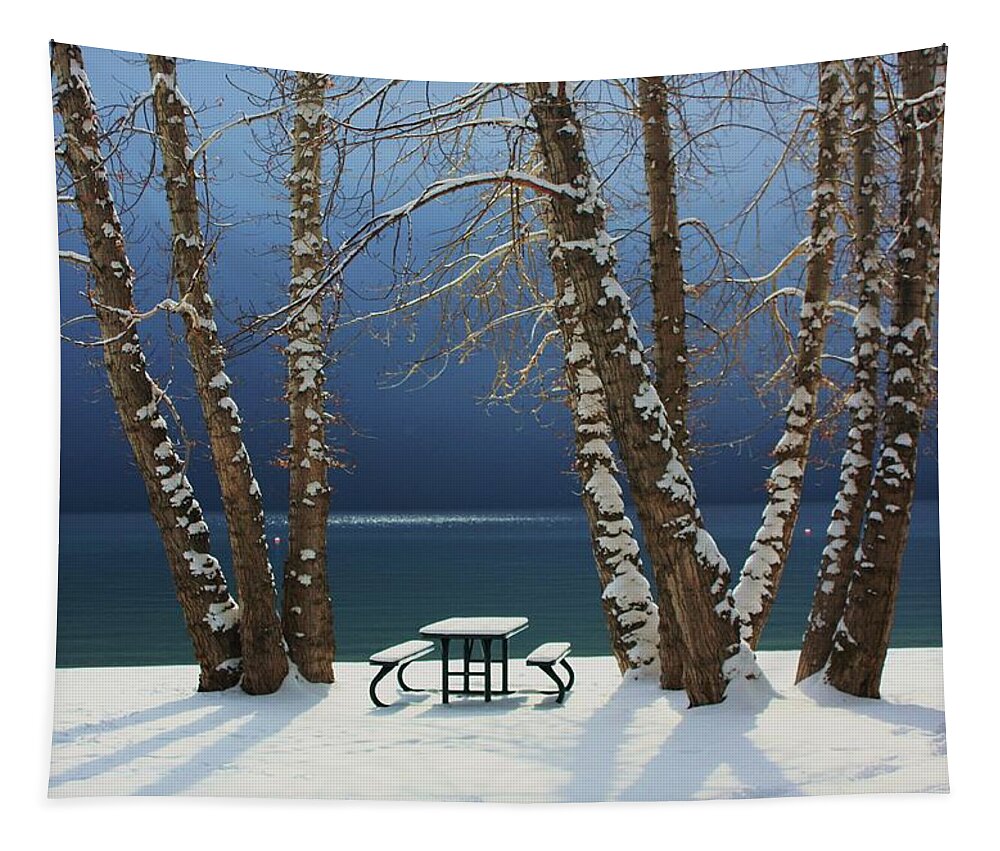 Incline Village Tapestry featuring the photograph A Simple Winter Scene by Sean Sarsfield