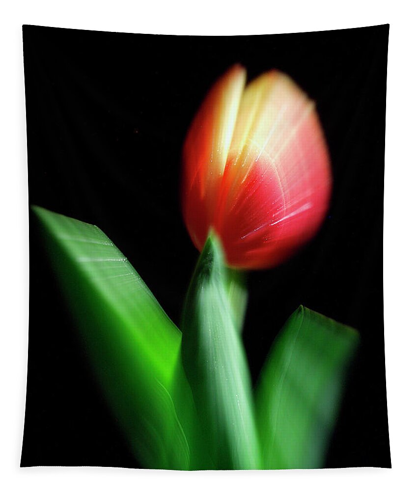 Color Tapestry featuring the photograph A Single Bloom by Frederic A Reinecke