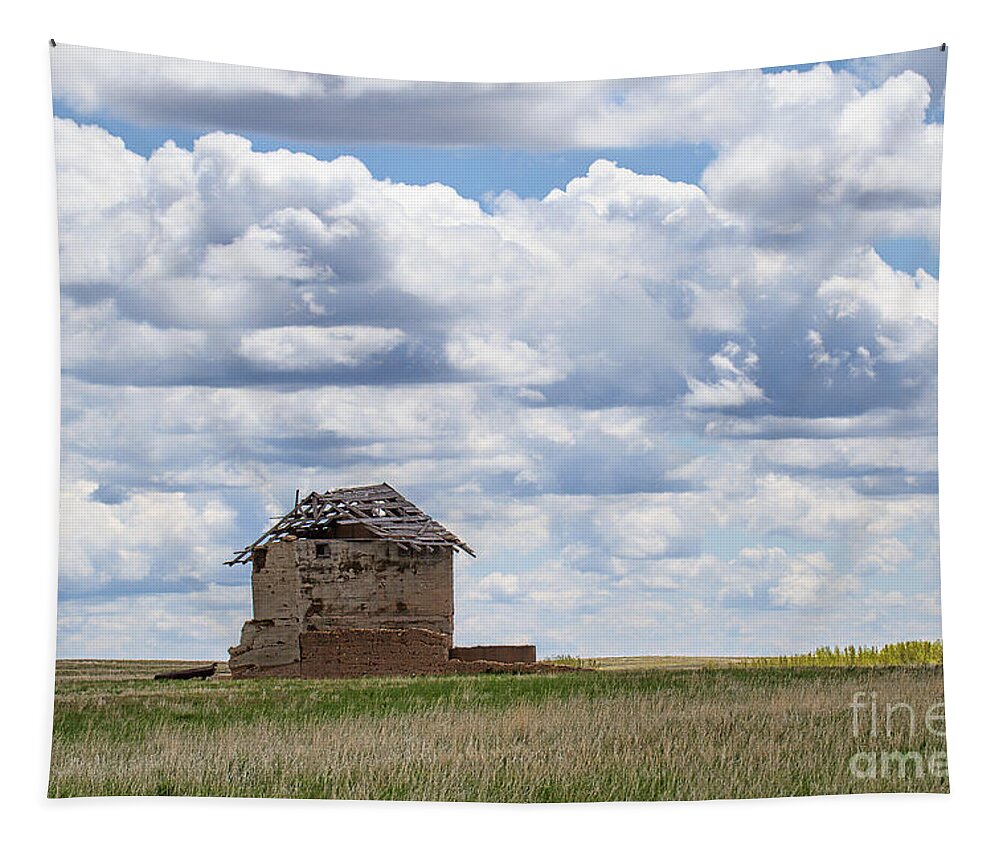 Colorado Plains Tapestry featuring the photograph A Solitary Existance by Jim Garrison