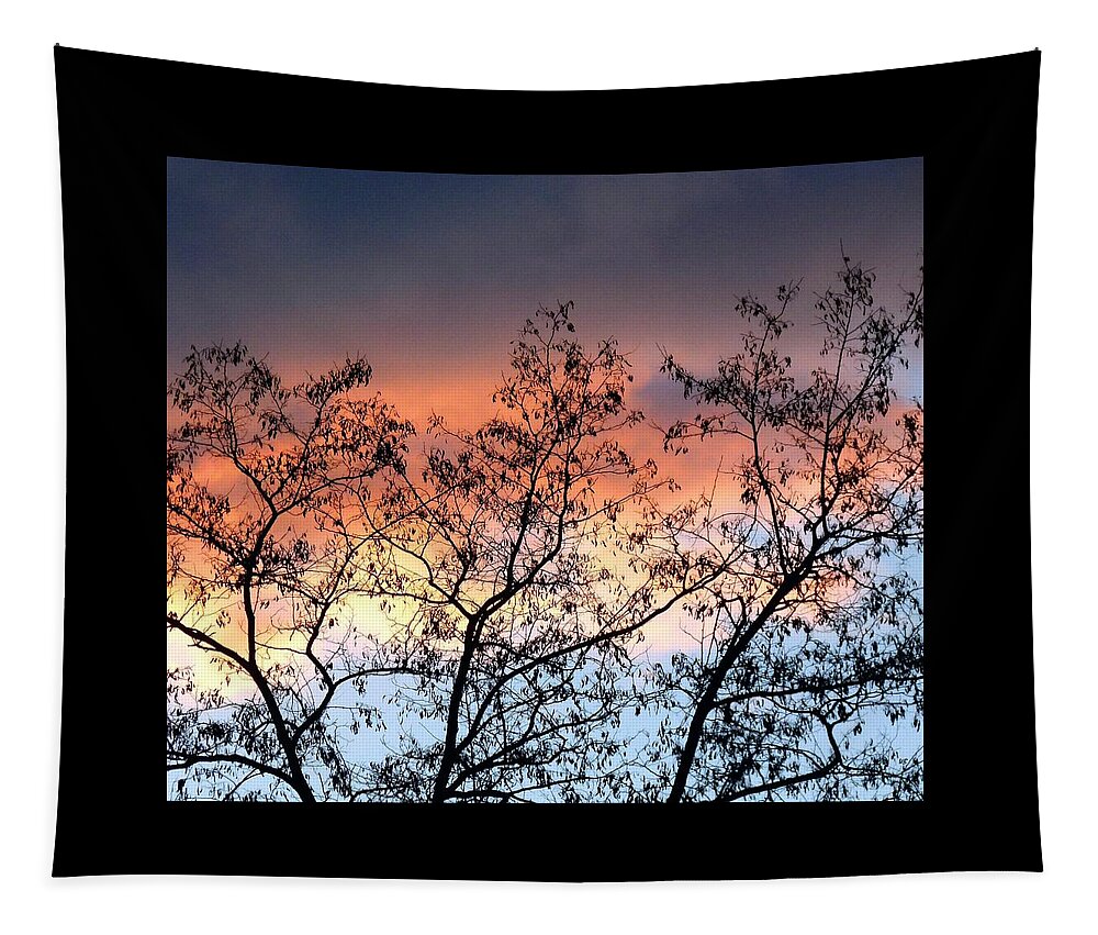 #asplendidsilhouette Tapestry featuring the photograph A Splendid Silhouette by Will Borden
