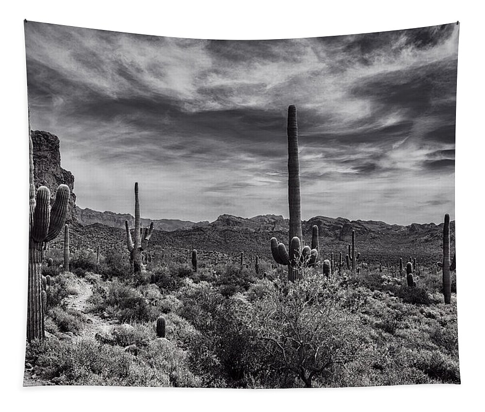 Arizona Tapestry featuring the photograph A Morning Hike in the Superstition in Black and White by Saija Lehtonen