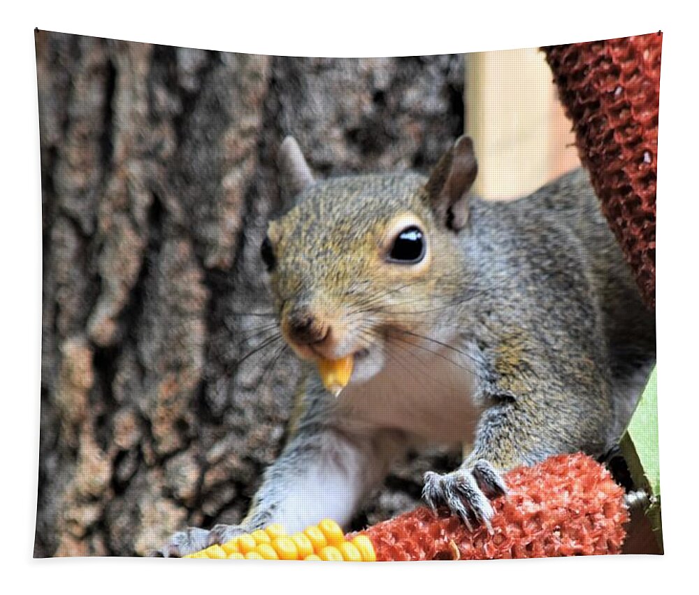 Squirrel Tapestry featuring the photograph A Tasty Morsel by Mary Ann Artz
