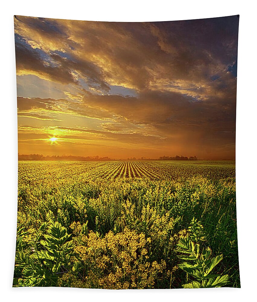 Spring Tapestry featuring the photograph A Time of GIfts by Phil Koch