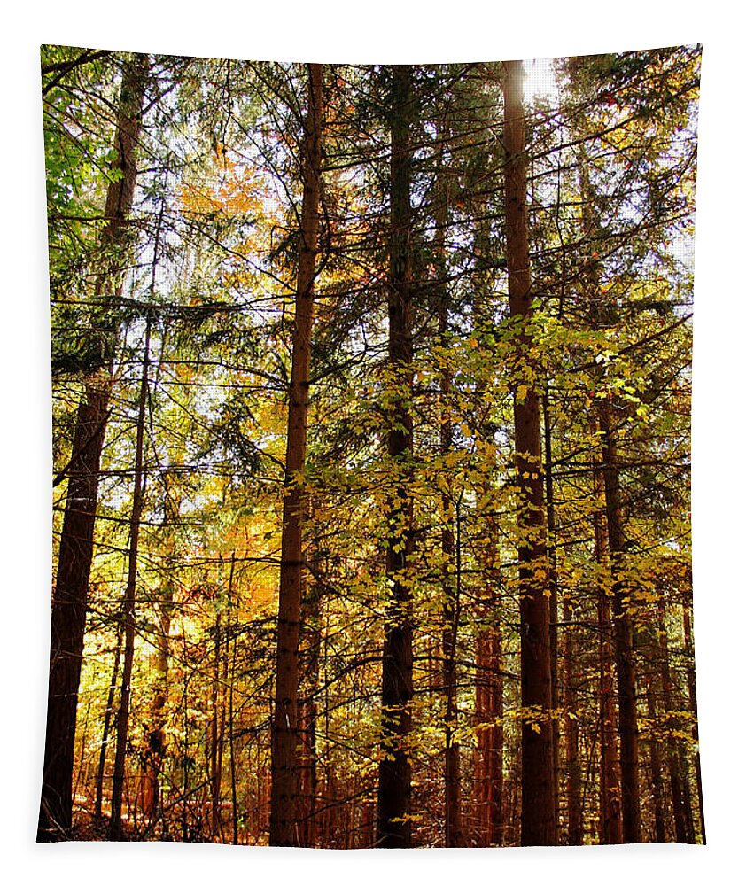 Puslinch Tapestry featuring the photograph A Touch Of Gold by Debbie Oppermann
