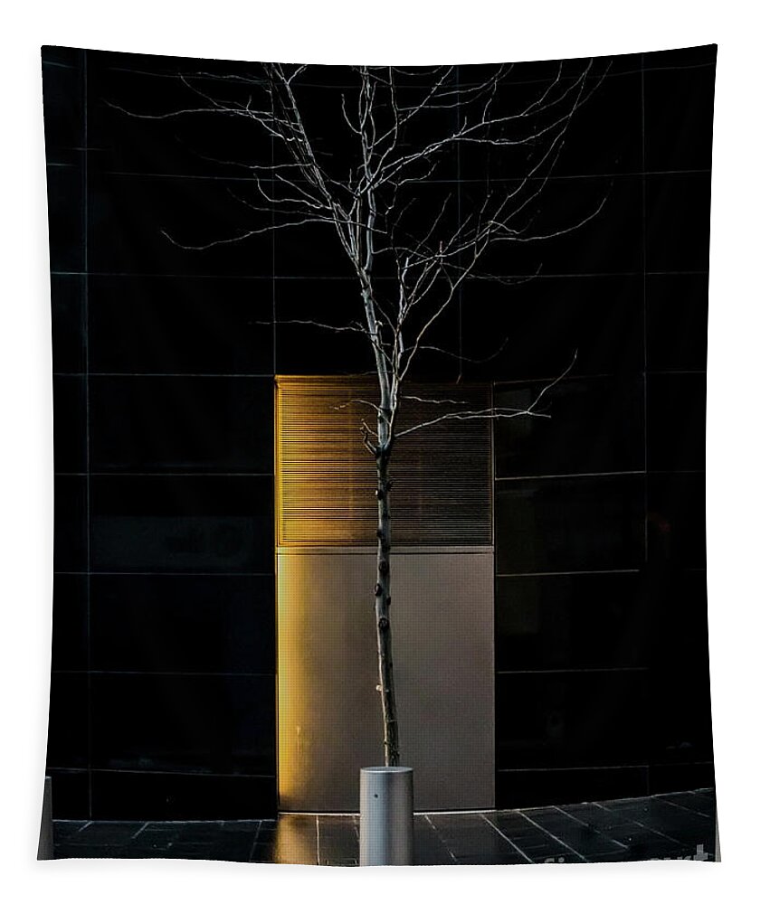 Tree Tapestry featuring the photograph A Tree Grows in the City by James Aiken