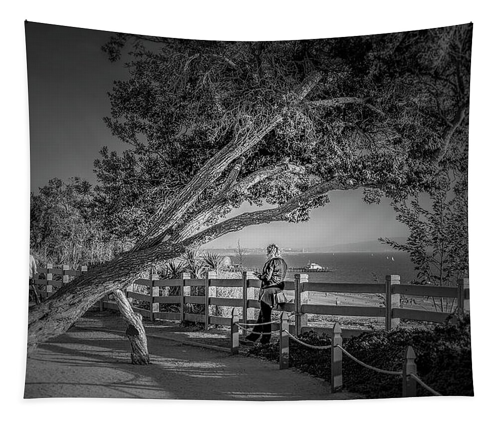Palisades Park Tapestry featuring the photograph A Walk In The Park B and W by Gene Parks