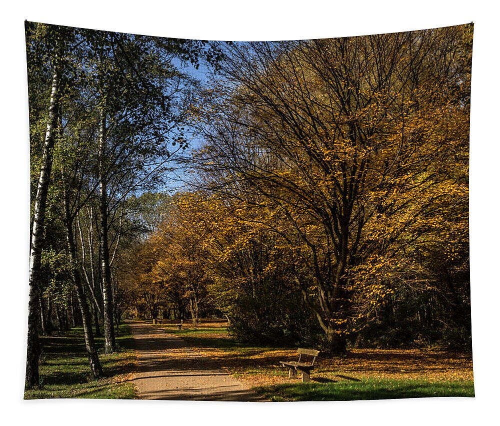 Austria Tapestry featuring the photograph A walk in the park by Wolfgang Stocker
