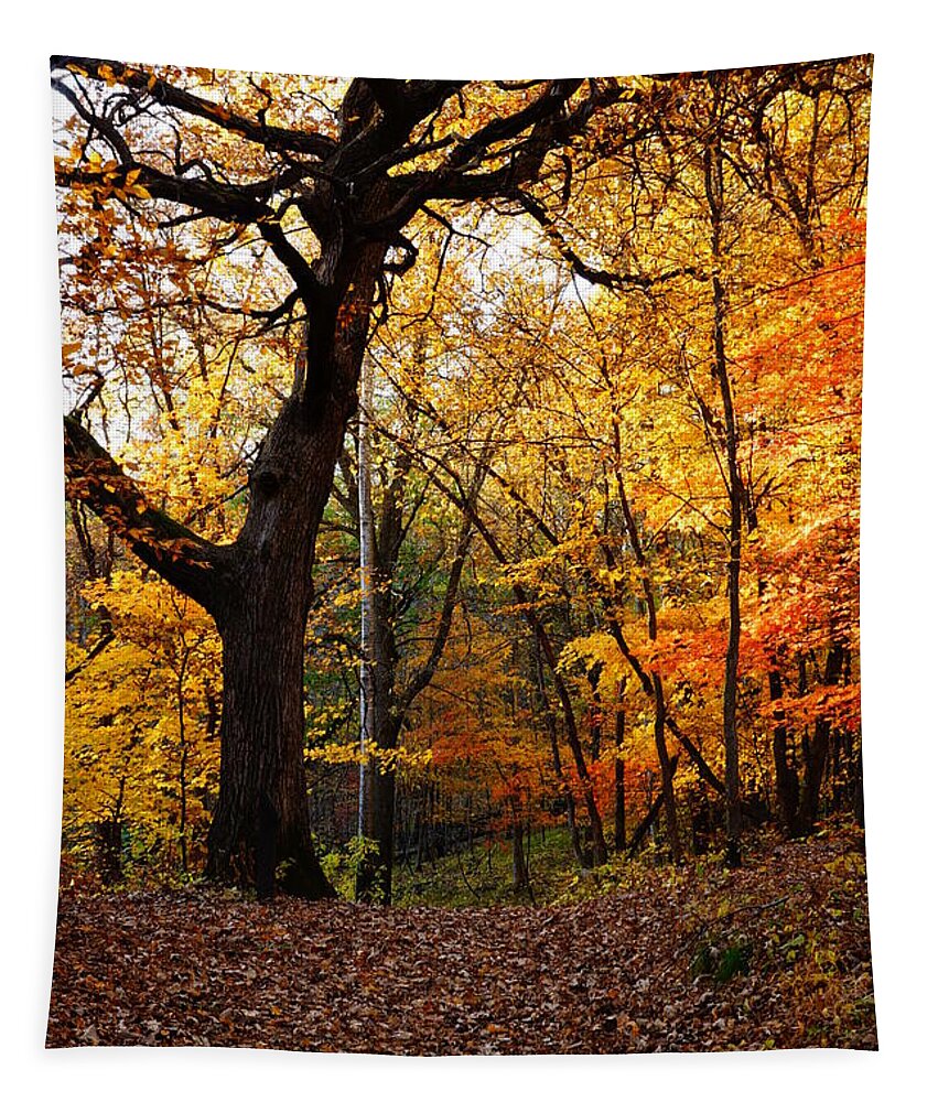 Landscape Tapestry featuring the photograph A Walk in the Woods 2 by Steven Clipperton